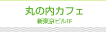 エコッツェリア　新丸の内ビル10F