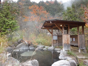 【復興応援特別講座】東北温泉大学クラス～雪見の露天風呂でほっこり。冬こそ東北の温泉旅へ～