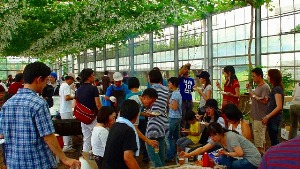 農業クラス~食の基本は農にあり~